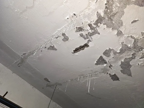Crack & Wall Repair
